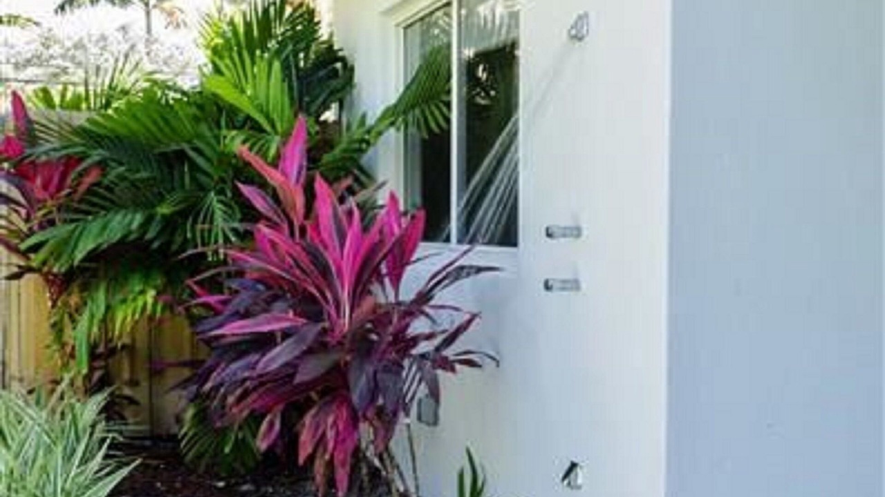 Photo of Outdoor in Dolphin Isles
