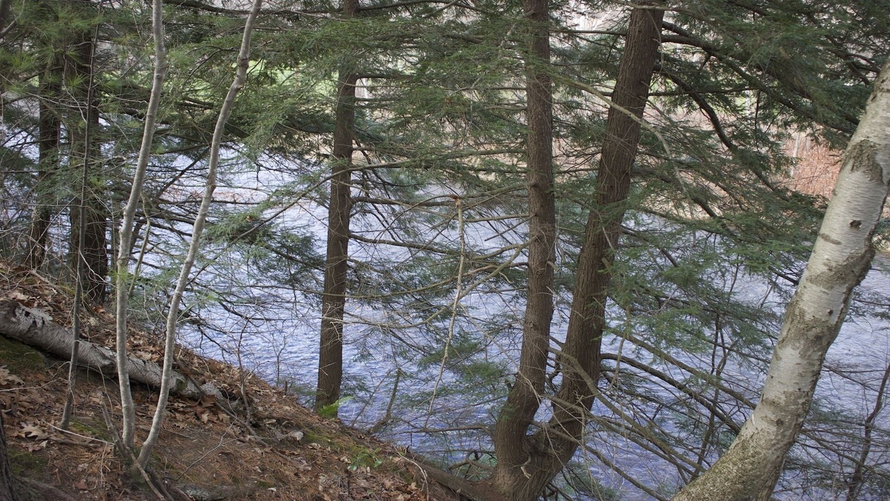 Photo of Others in Gaines