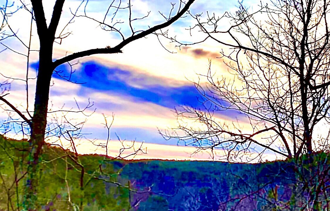 Photo of Outdoor in Mentone