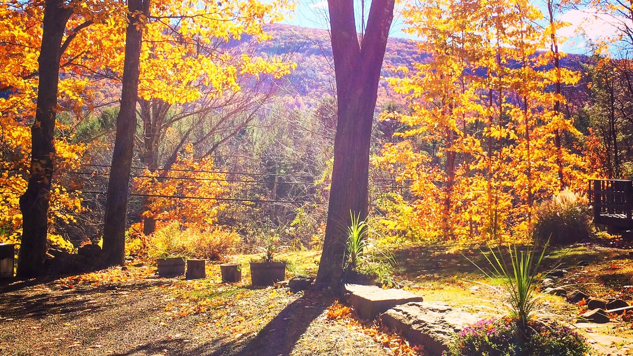 Photo of Others in Mount Tremper