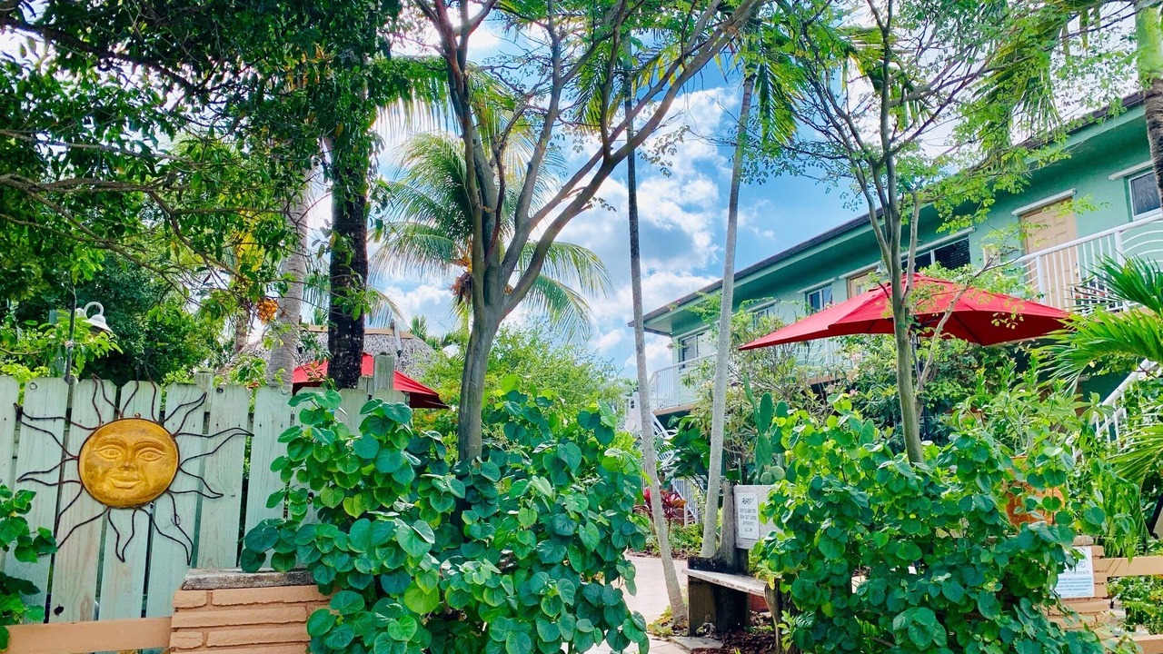 Photo of Outdoor in North Beach