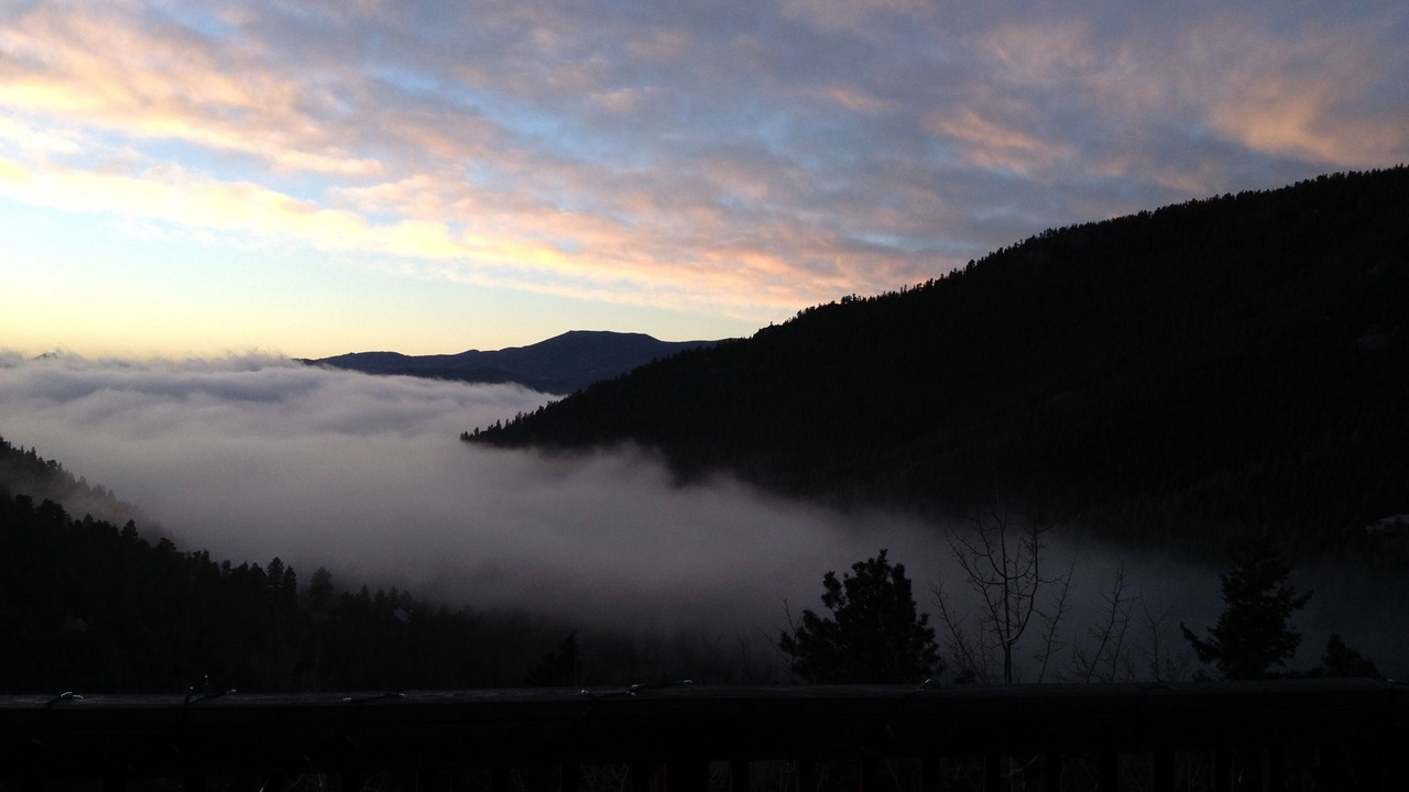 Photo of Others in Evergreen