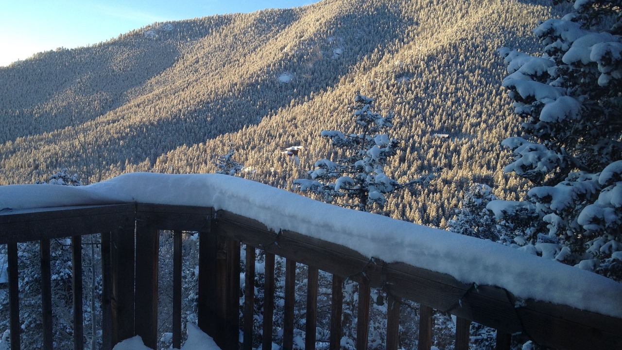 Photo of Others in Evergreen