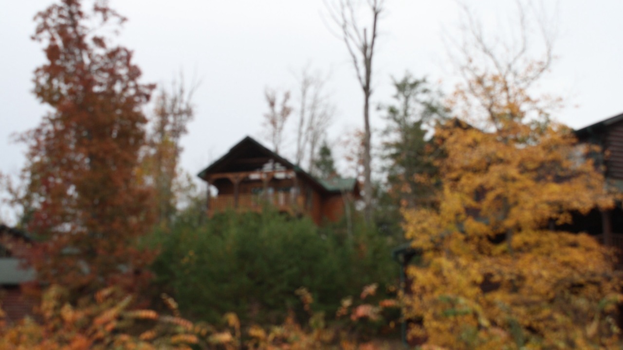 Photo of Outdoor in Hemlock Hills