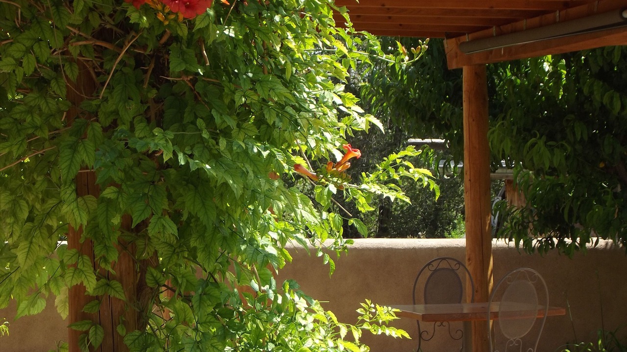 Photo of Outdoor in Abiquiu