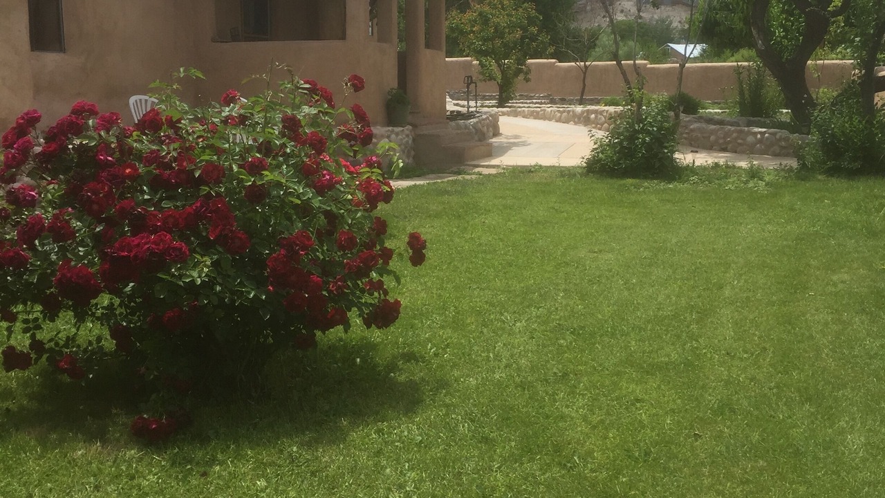 Photo of Outdoor in Abiquiu