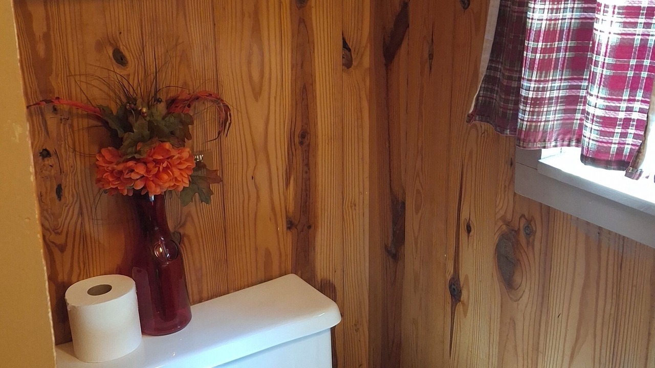 Photo of Bathroom in Olmstedville