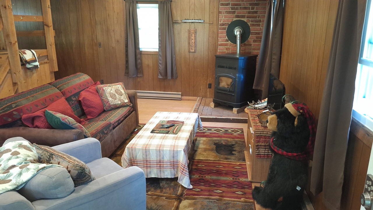 Photo of Livingroom in Olmstedville
