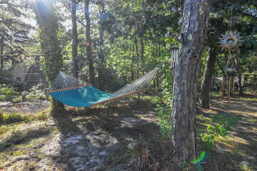 Photo of Outdoor in Wellfleet