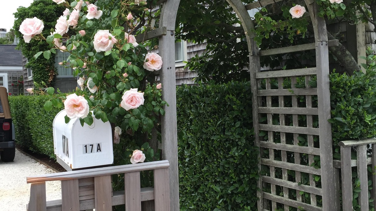Photo of Outdoor in Nantucket Town