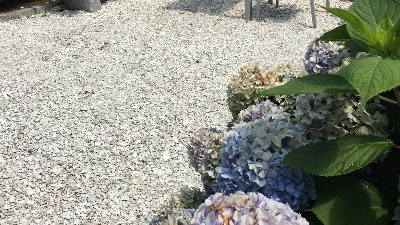 Photo of Outdoor in Nantucket Town