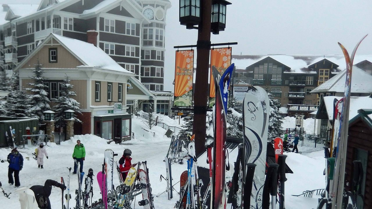 Photo of Others in Snowshoe