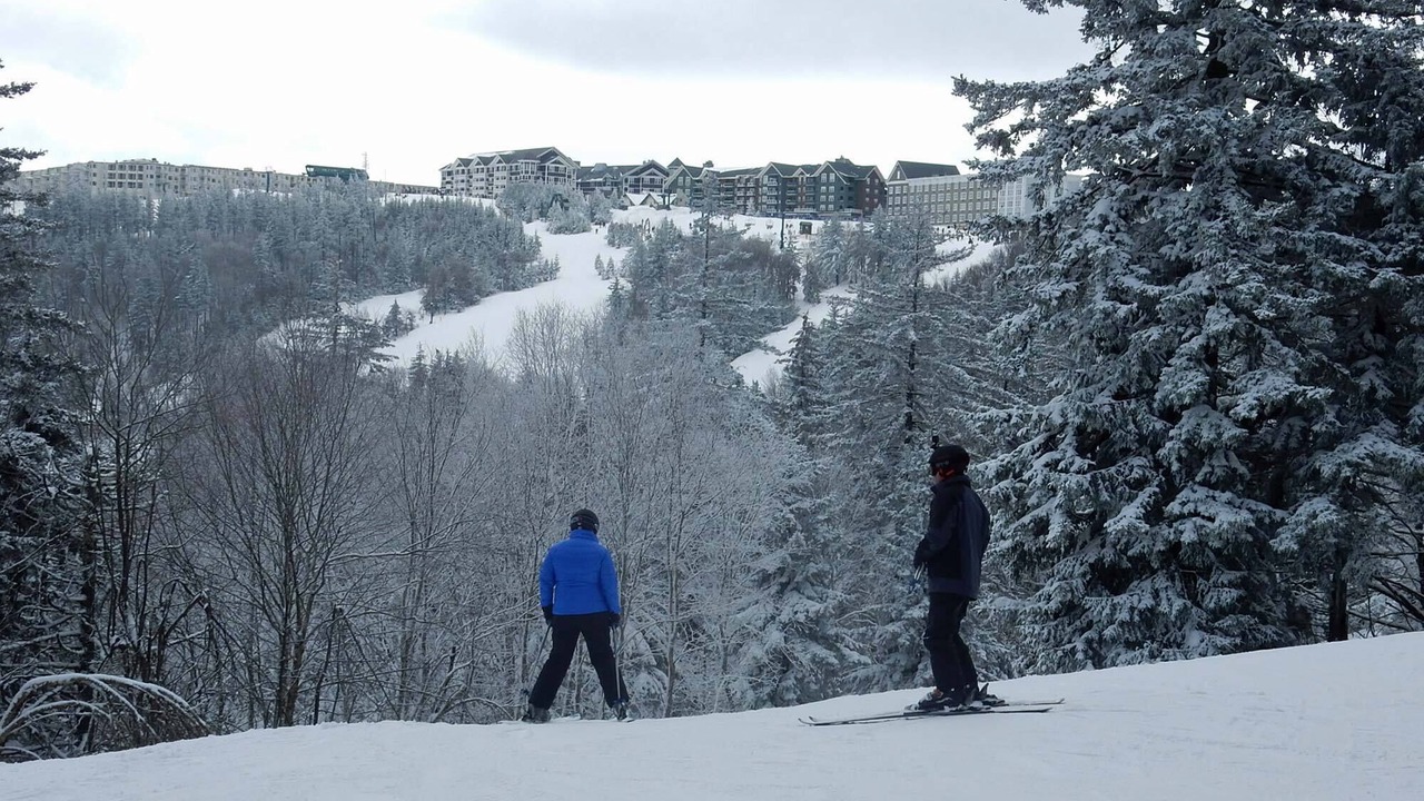 Photo of Others in Snowshoe