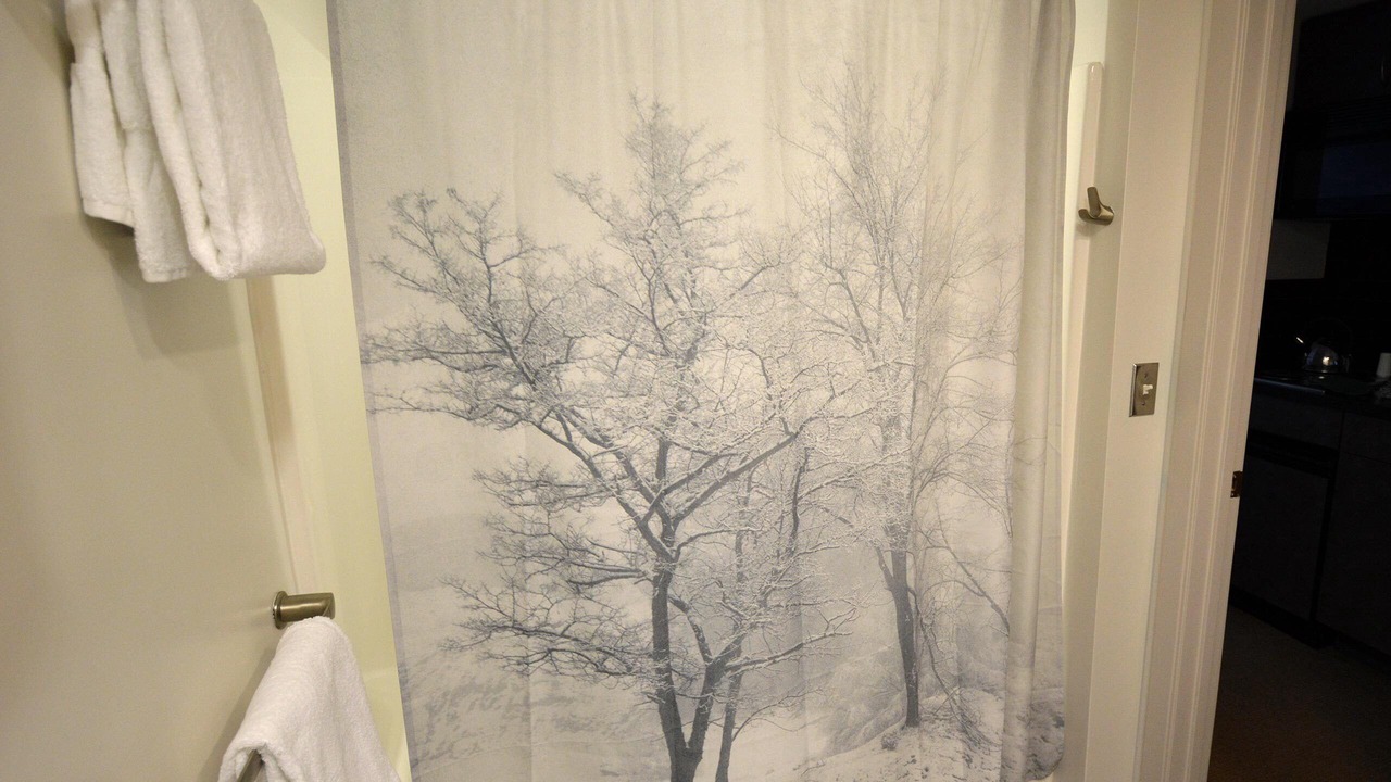 Photo of Bathroom in Snowshoe