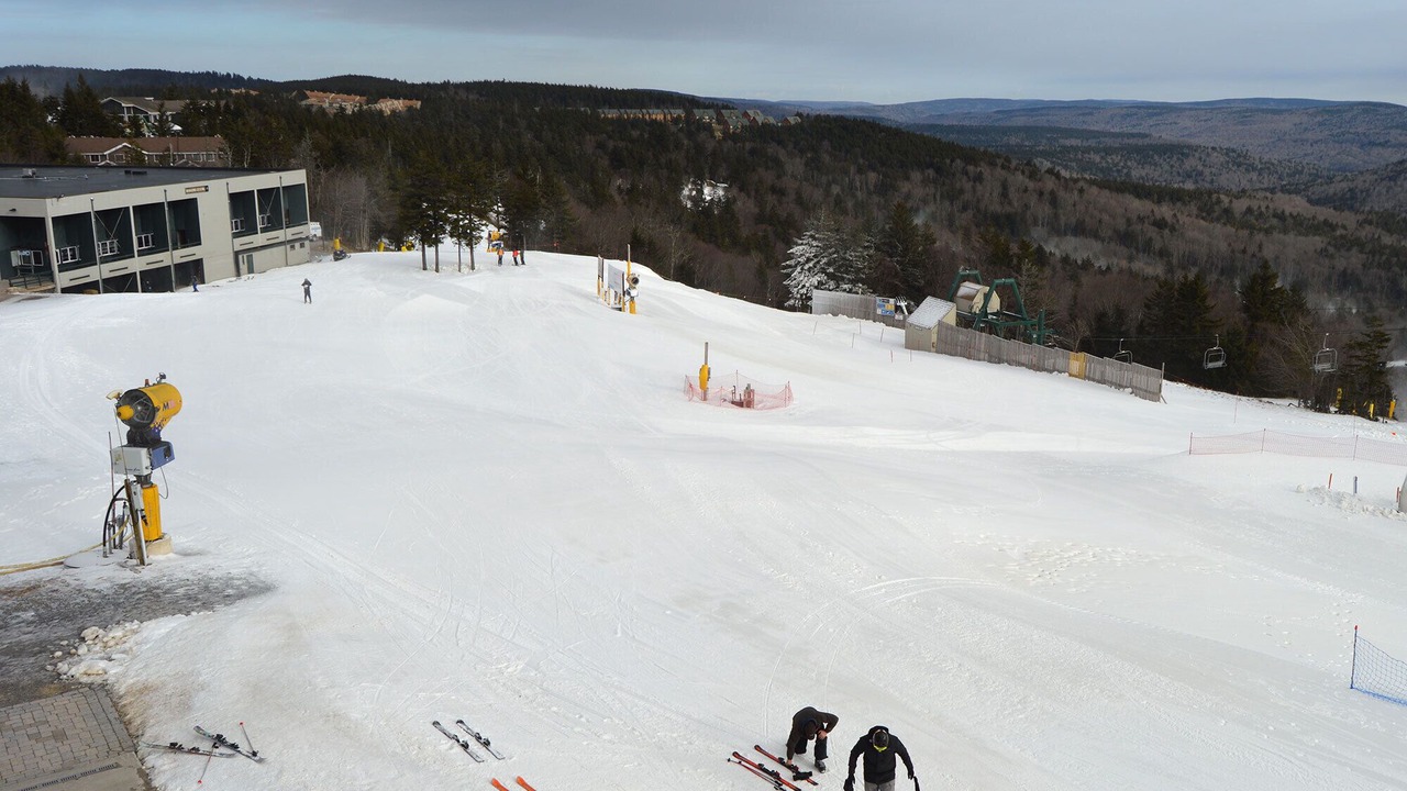 Photo of Others in Snowshoe