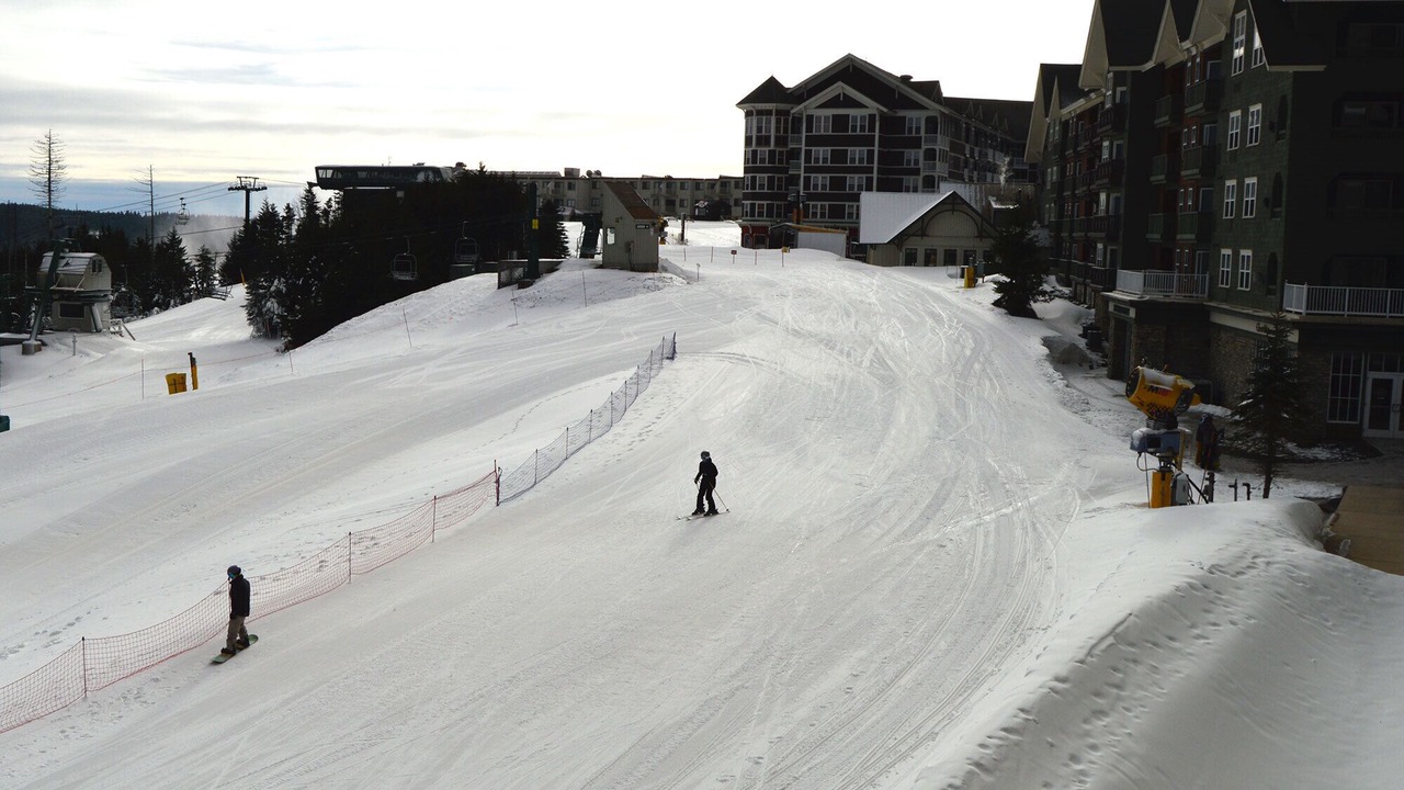 Photo of Others in Snowshoe