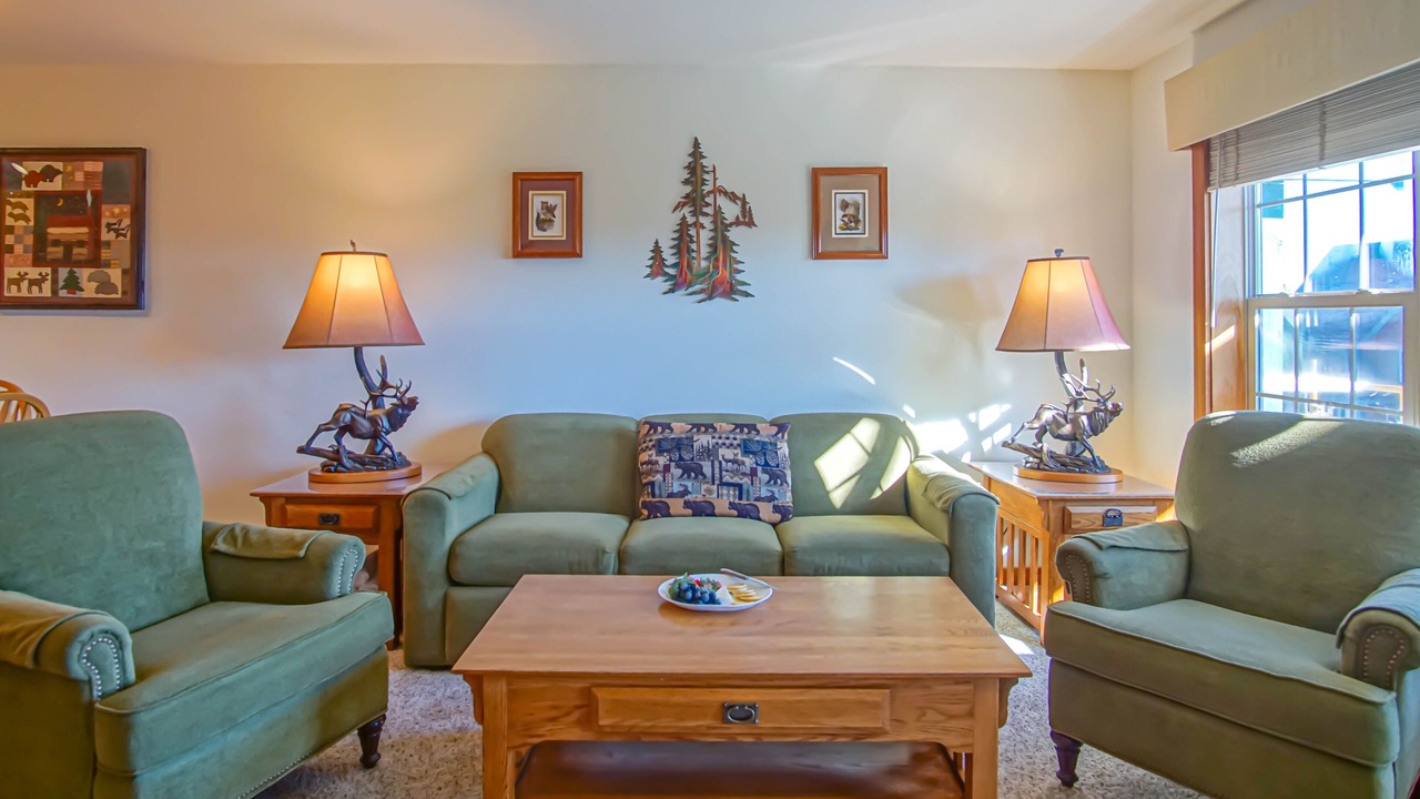 Photo of Livingroom in Snowshoe