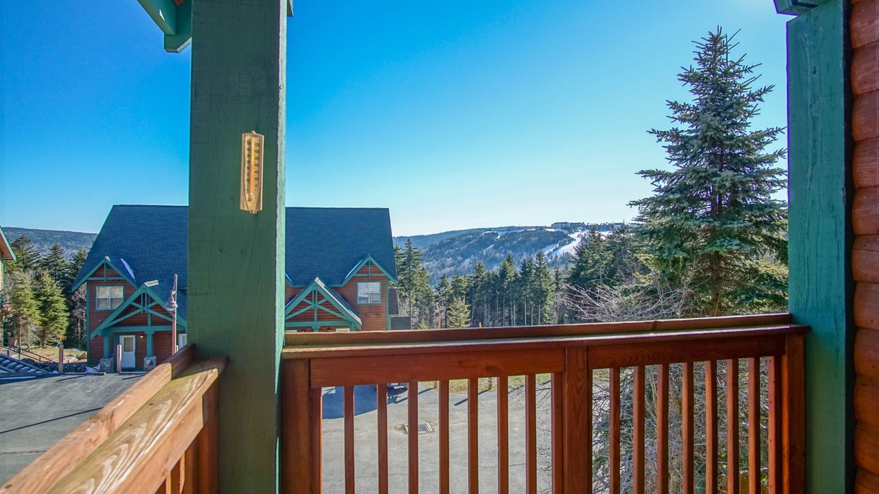 Photo of Others in Snowshoe