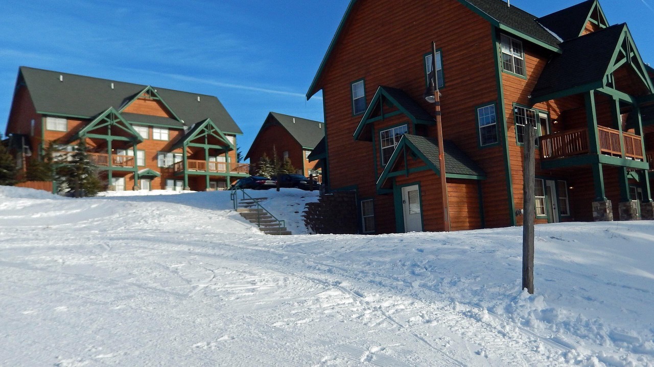 Photo of Others in Snowshoe