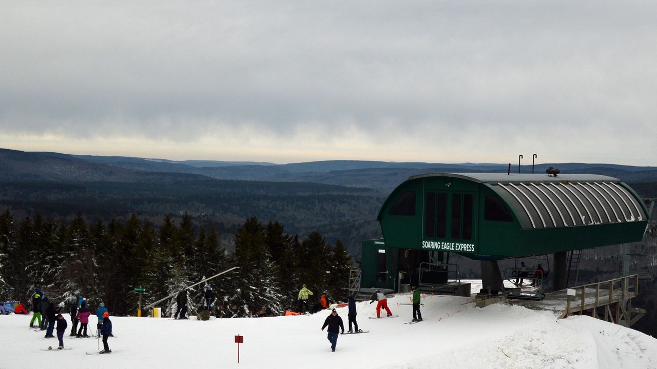 Photo of Others in Snowshoe