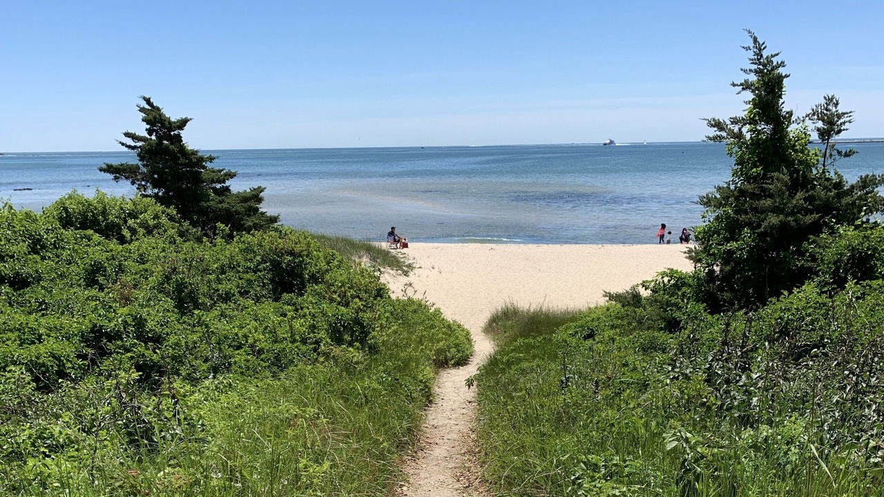 Photo of Others in Hyannis