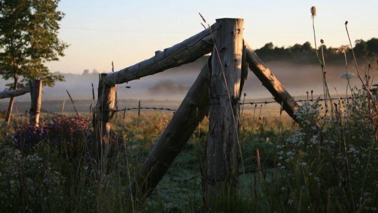 Photo of Others in South Rutland