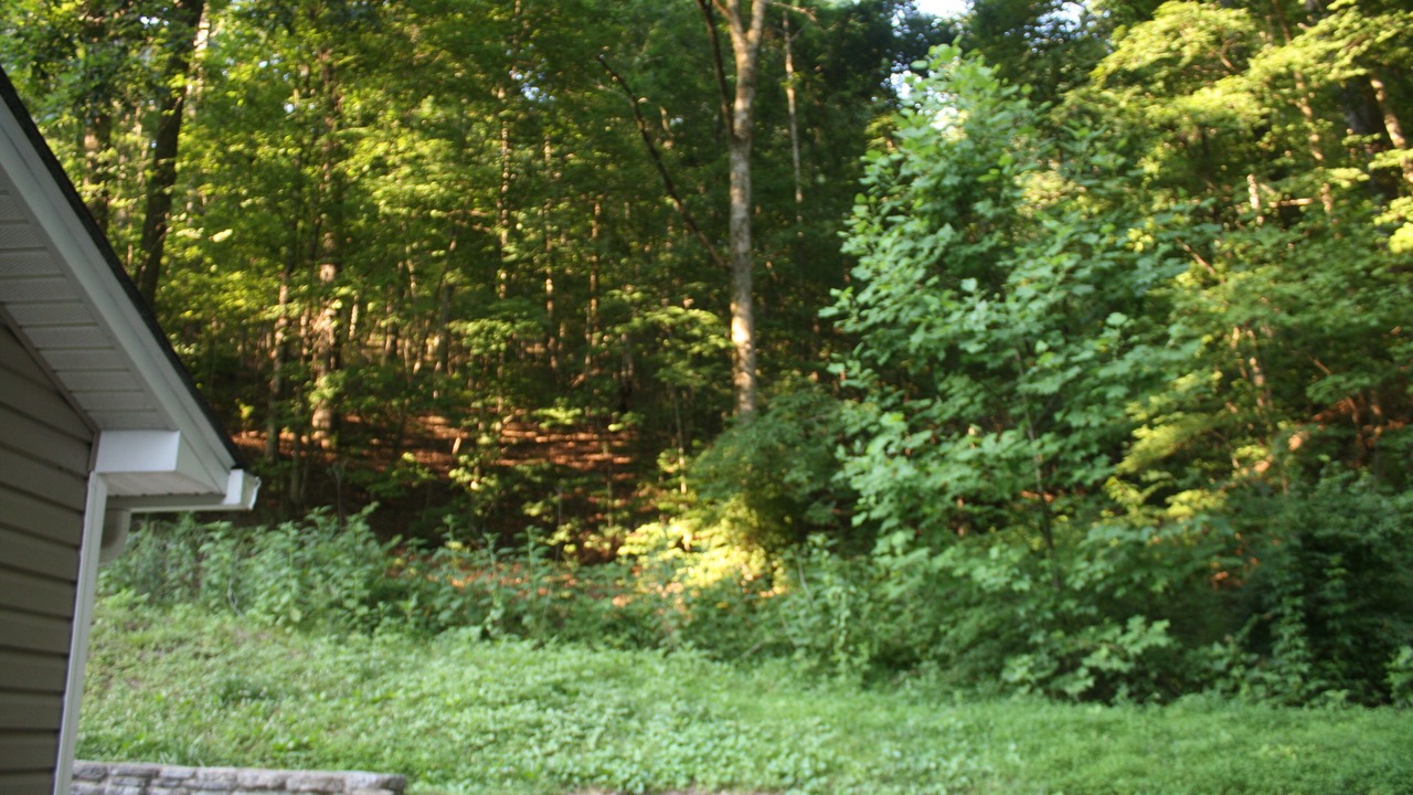 Photo of Outdoor in Bellevue