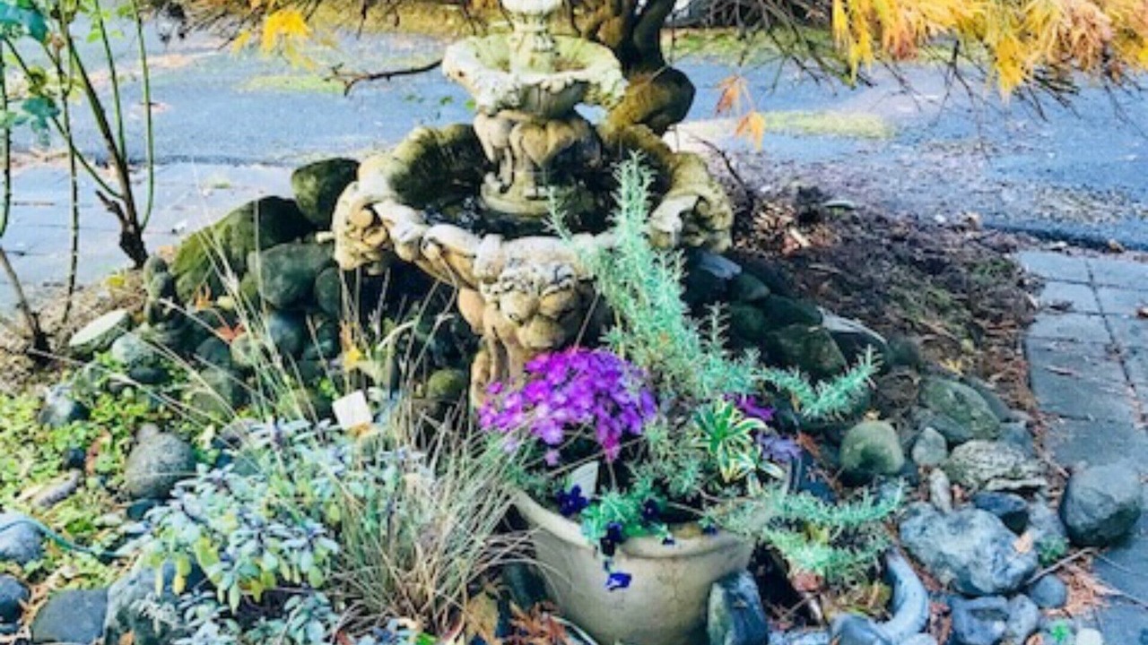 Photo of Outdoor in Inglewood
