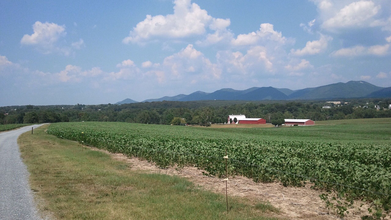 Photo of Others in Elkton
