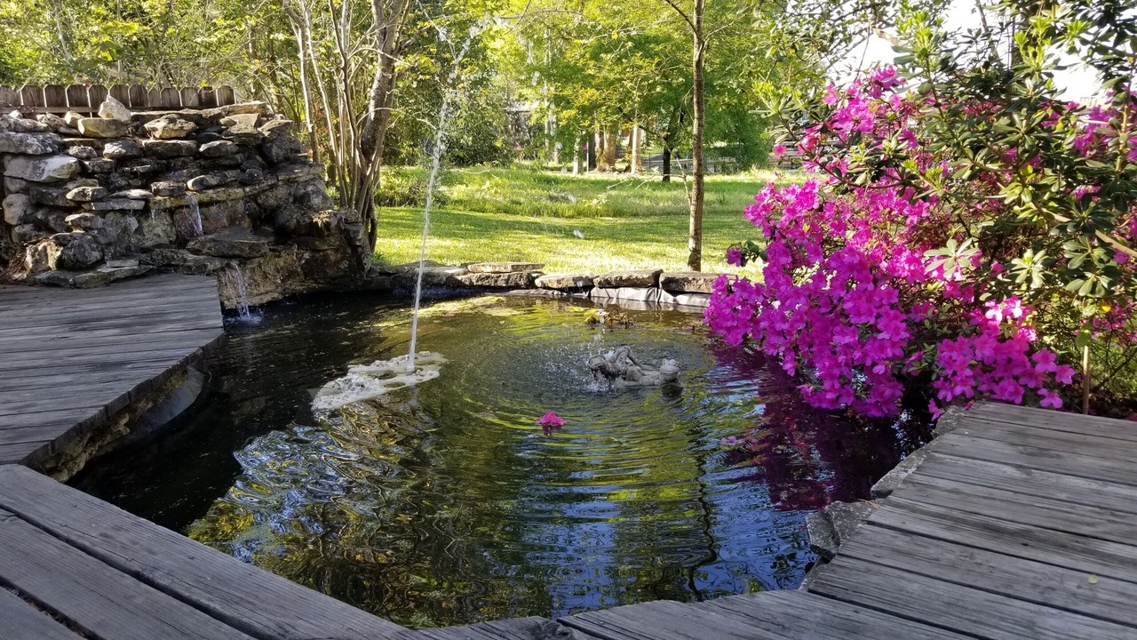 Photo of Outdoor in Indian Shores