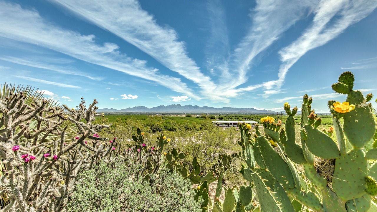 Photo of Outdoor in Las Cruces