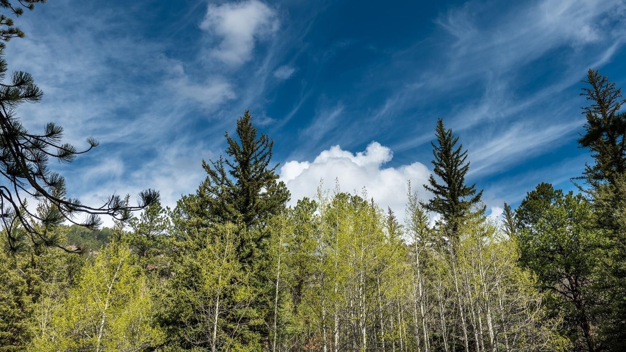 Photo of Others in Aspen Brook