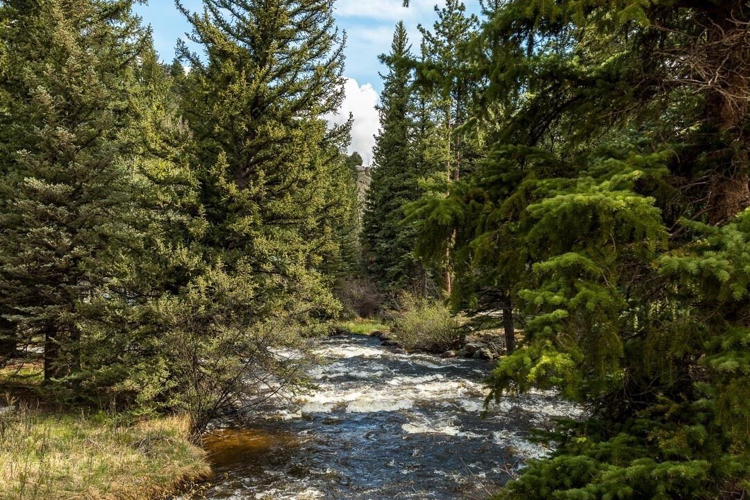 Photo of Others in Aspen Brook