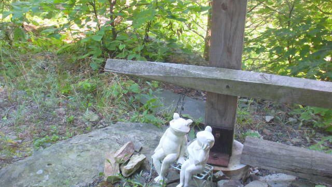 Photo of Outdoor in West Saugerties