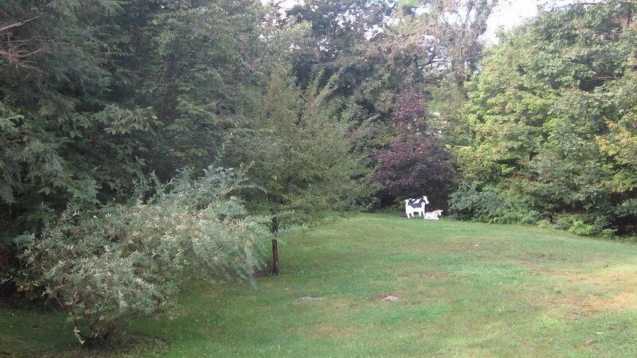 Photo of Others in West Saugerties