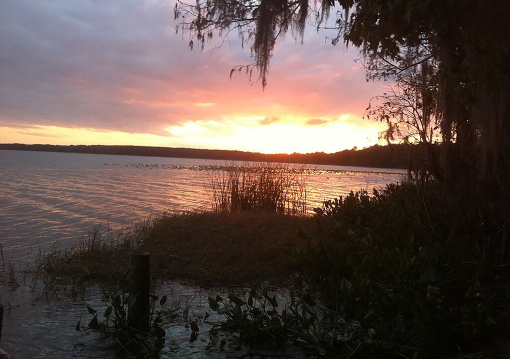Photo of Outdoor in Gainesville