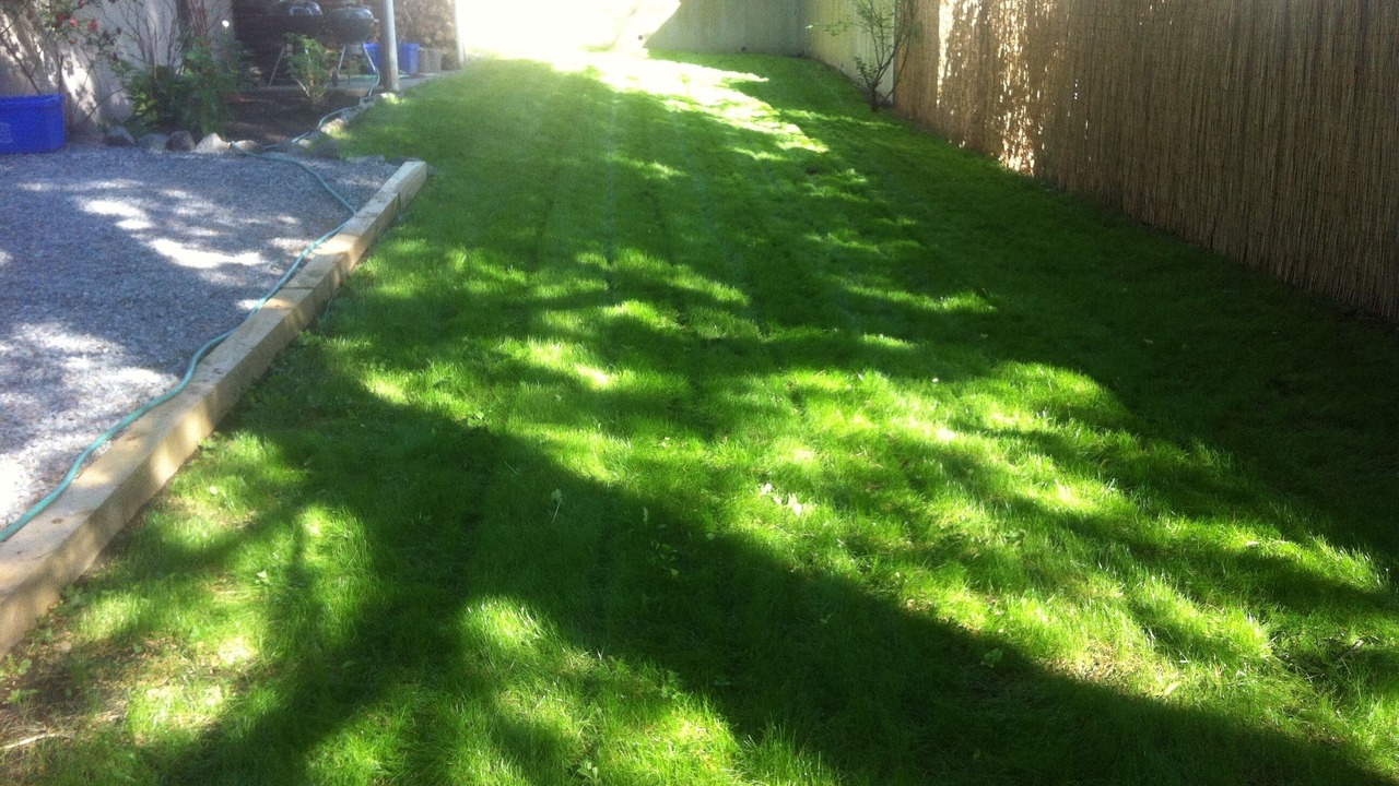 Photo of Outdoor in Cleveland Circle