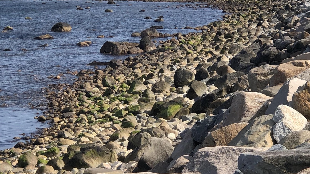Photo of Others in Point Judith