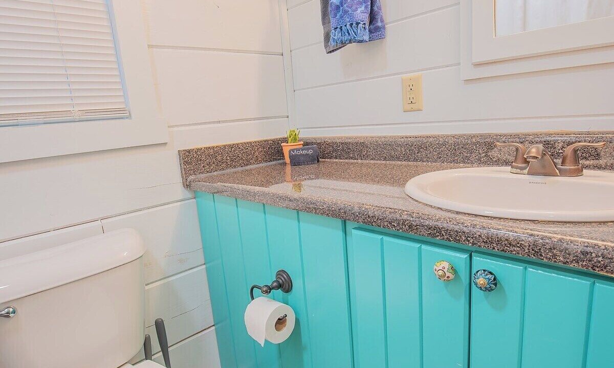 Photo of Bathroom in Lookout Valley Neighborhood Association