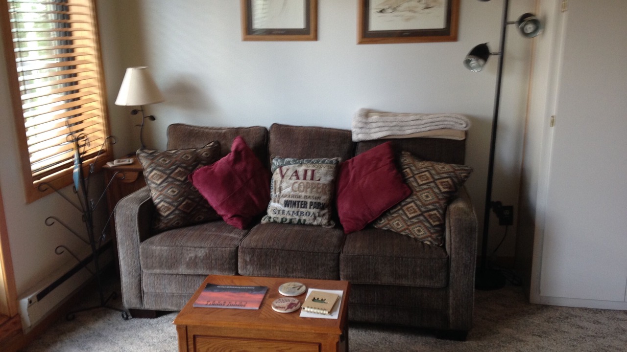 Photo of Livingroom in Mountain House