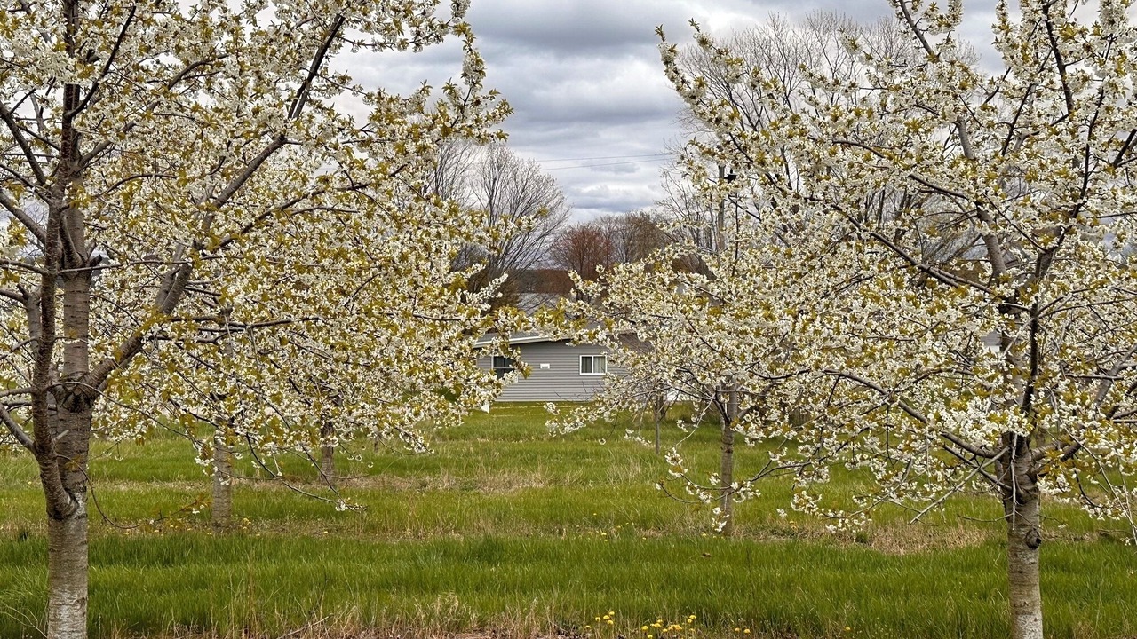 Photo of Outdoor in Williamsburg
