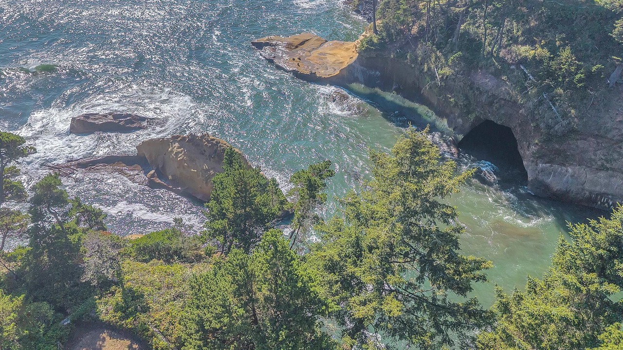 Photo of Others in Depoe Bay