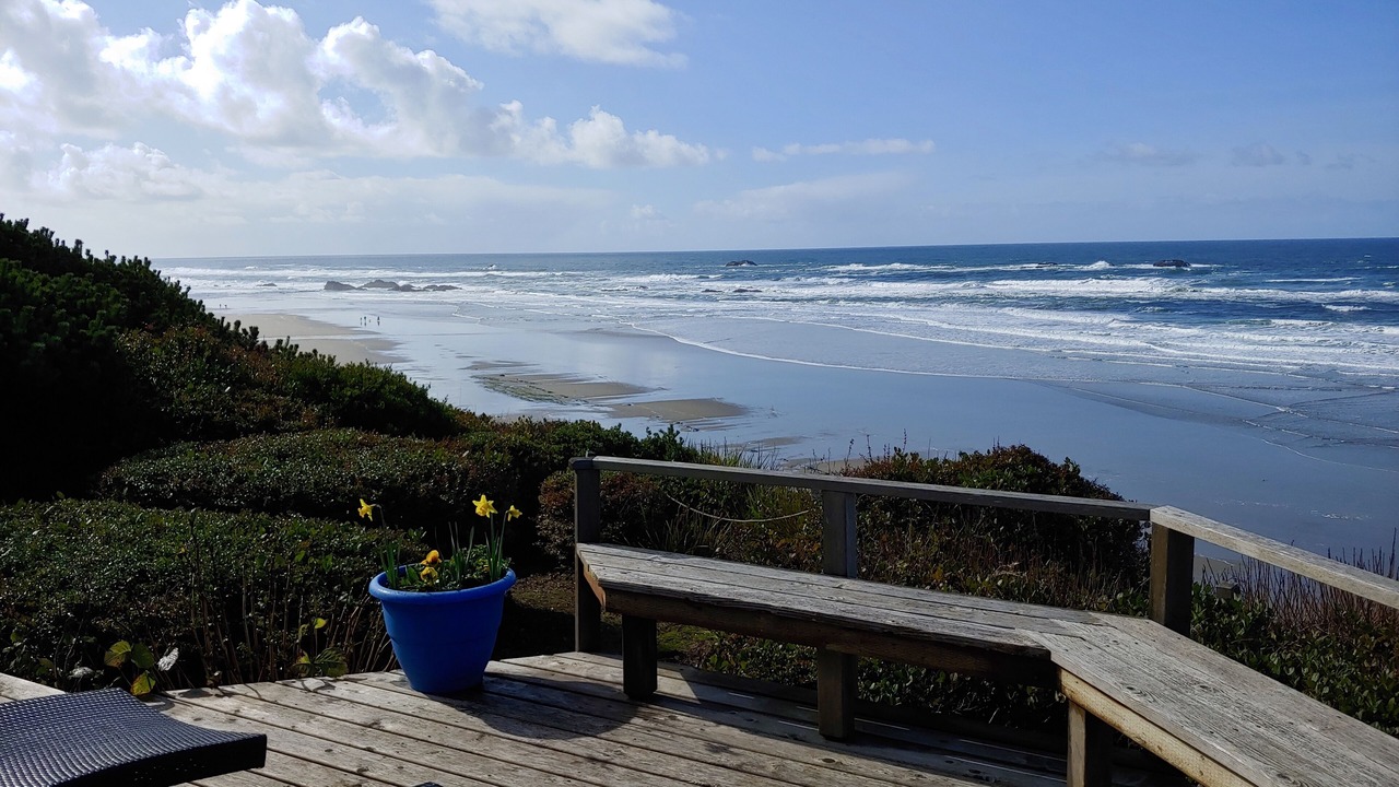 Photo of Others in Seal Rock