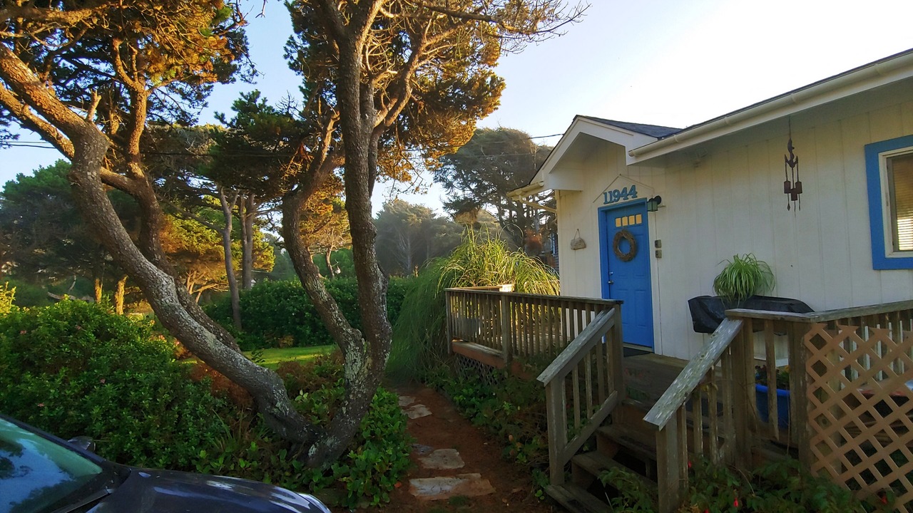 Photo of Outdoor in Seal Rock