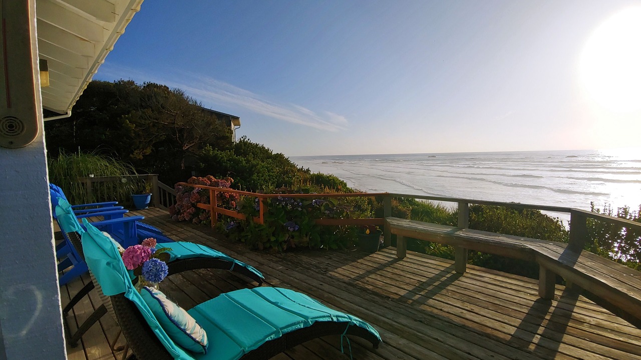 Photo of Others in Seal Rock