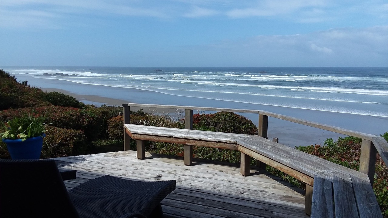 Photo of Others in Seal Rock