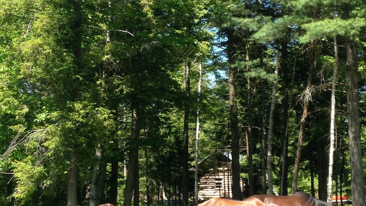 Photo of Others in Athol