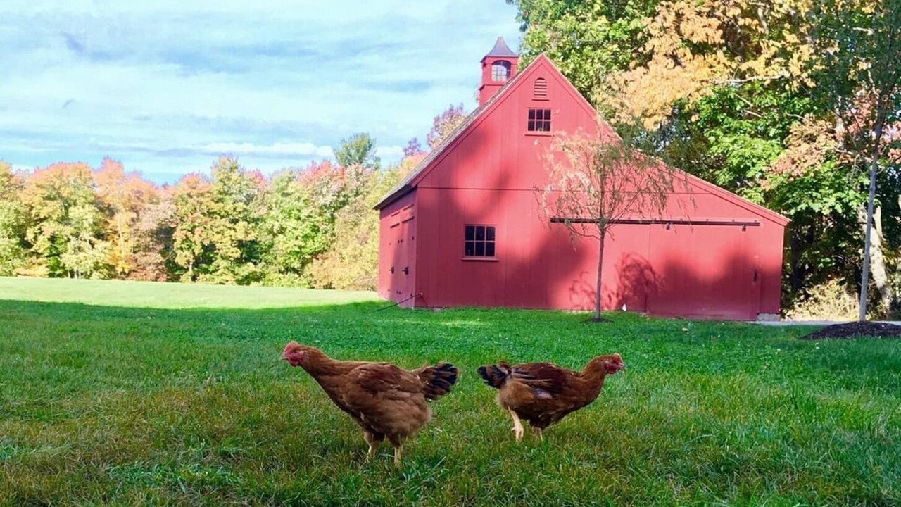 Photo of Others in Newtonville
