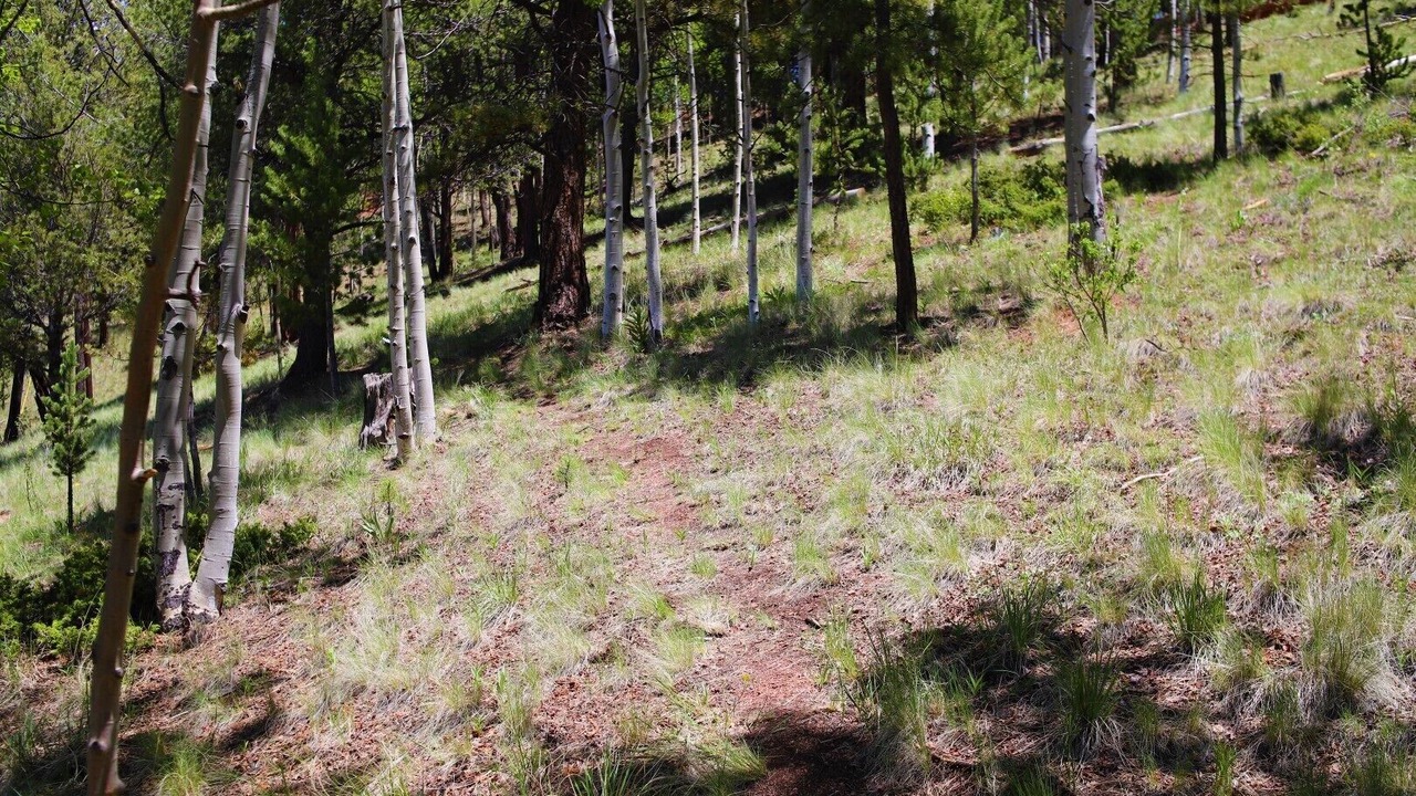 Photo of Outdoor in Rainbow Valley