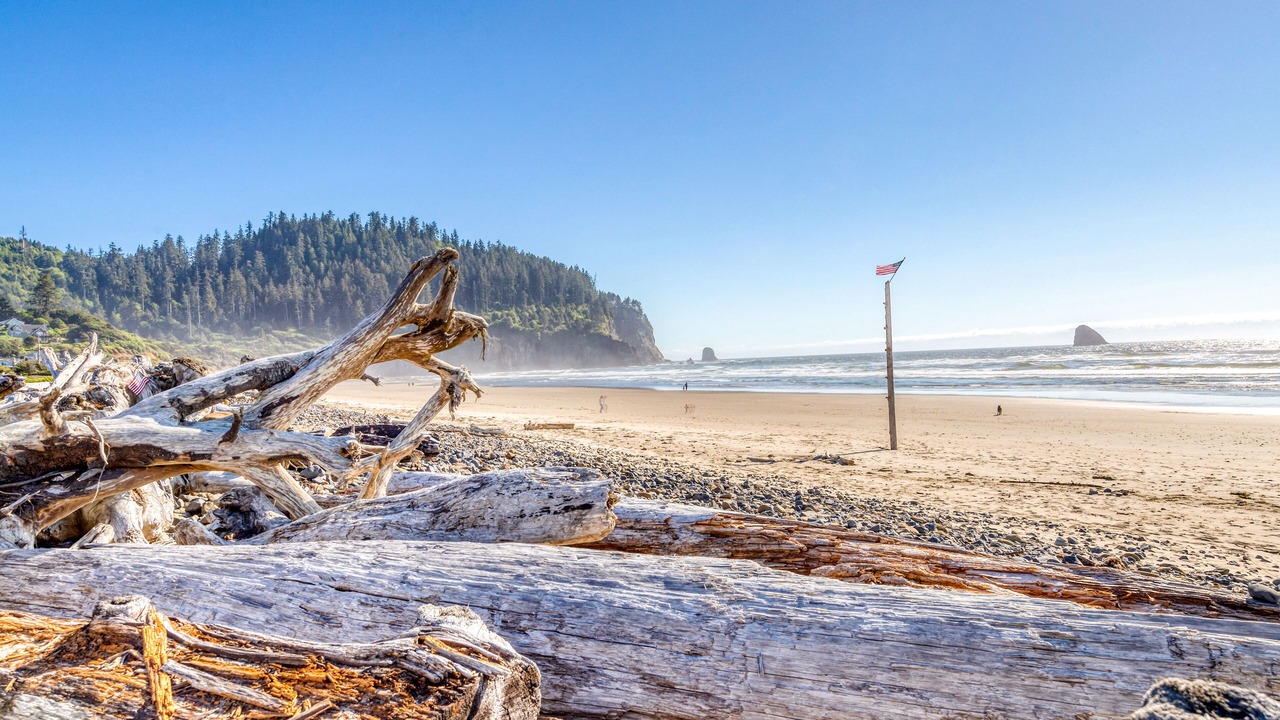 Photo of Others in Cape Meares
